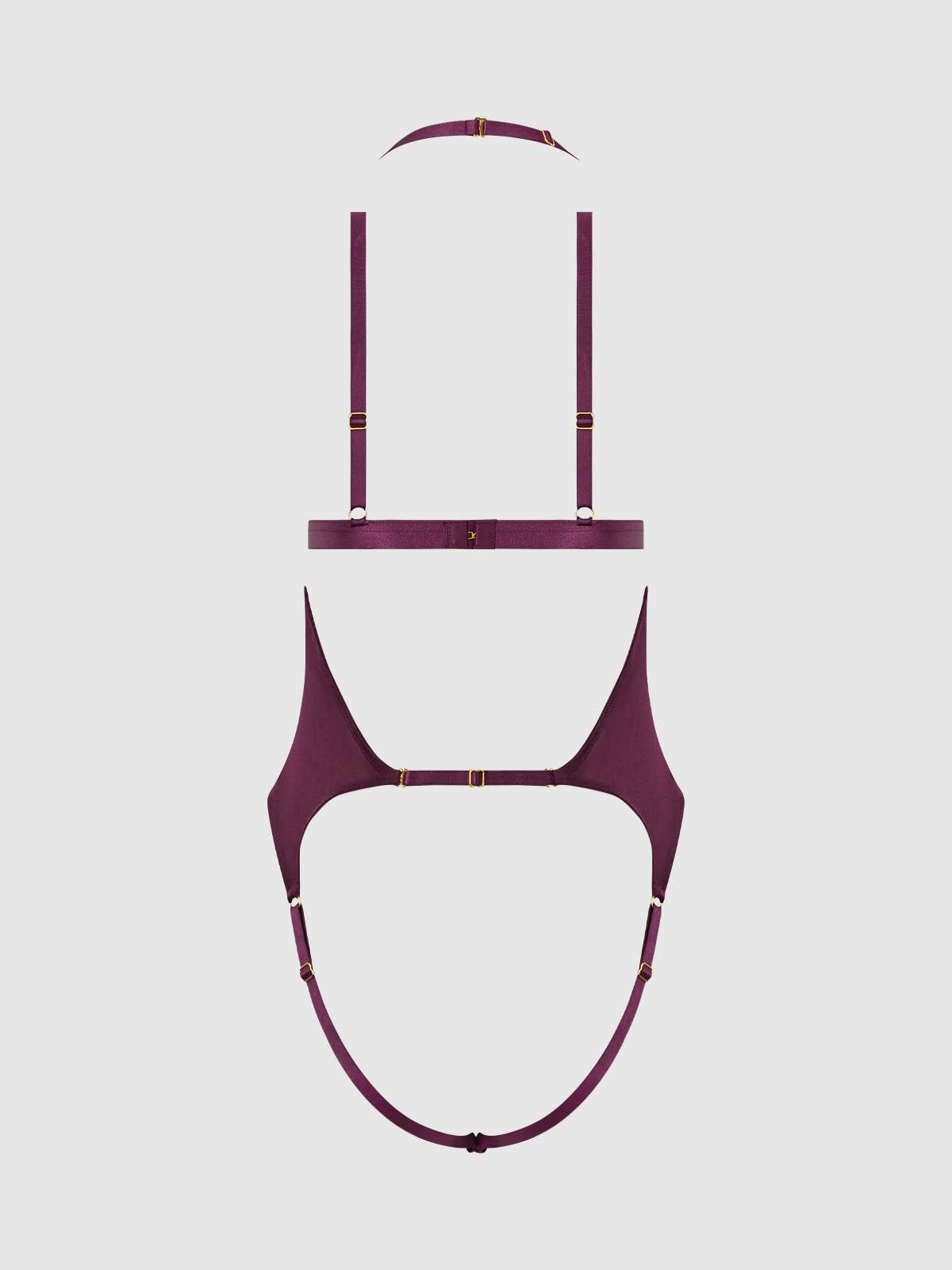 Yasmine Shimmer Mesh Backless Teddy & Bra Set: Plum