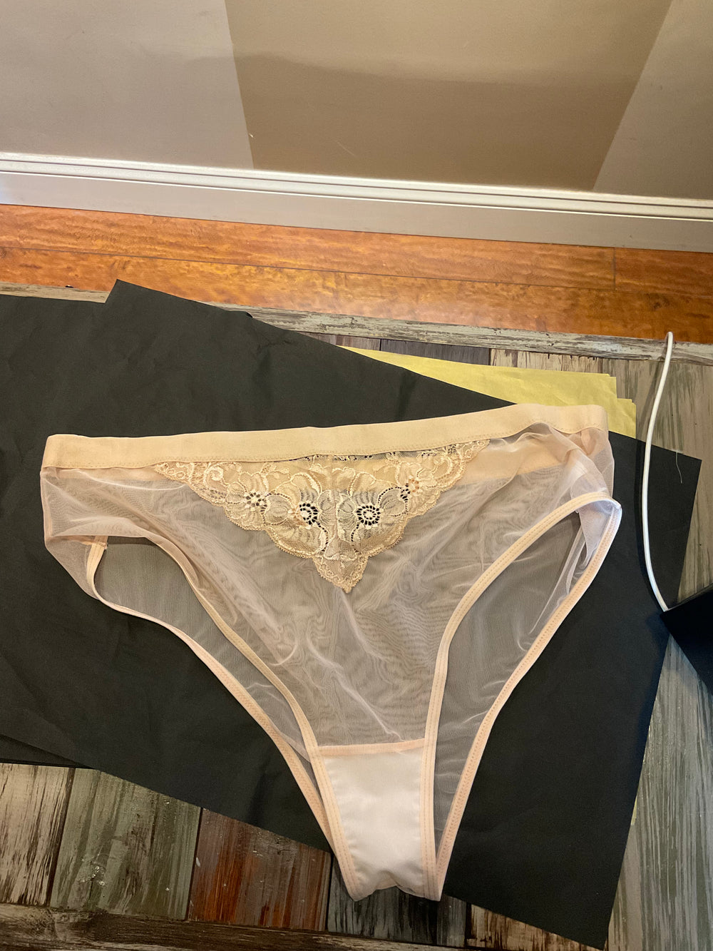 Nude Mesh Panty